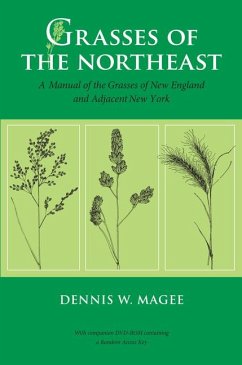 Grasses of the Northeast: A Manual of the Grasses of New England and Adjacent New York - Magee, Dennis W.