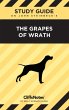 CliffsNotes on Steinbeck's The Grapes... - Bild 1