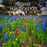 Texas Wildflowers 2024 Square