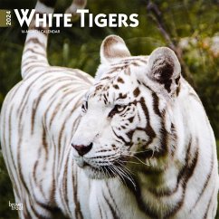 White Tigers 2024 Square