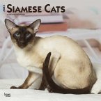 Siamese Cats 2024 Square