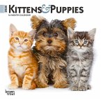 Kittens & Puppies 2024 Mini 7x7
