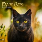 Black Cats 2024 Square Foil