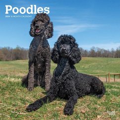 Poodles 2024 Square