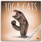 Yoga Cats 2024 Square