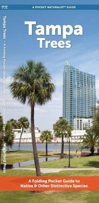 Cover Tampa Trees