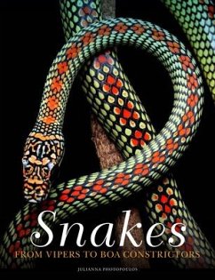 Snakes - Photopoulos, Julianna