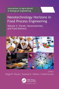 Cover Nanotechnology Horizons in Food Process Engineering (eBook, ePUB)