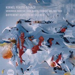 Different Aspects Of Silence - Fekete-Kovács,Kornél/Harcsa,Veronika/Bárta,