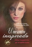 Encuentro Inesperado (Zibia Gasparetto & Lucius) (eBook, ePUB)