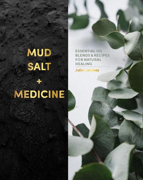 Mud, Salt and Medicine (eBook, ePUB) Mud, Salt and Medicine (eBook, ePUB)