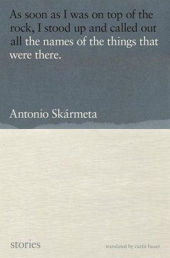 The Names of the Things That Were There (eBook, ePUB) - Skármeta, Antonio