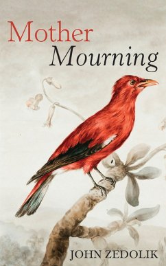 Mother Mourning (eBook, ePUB) - Zedolik, John