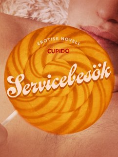 Cover Servicebesök - erotisk novell (eBook, ePUB)