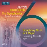 Anton Bruckner Project-The Symphonies,Vol.6