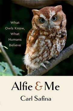 Alfie and Me: What Owls Know, What Humans Believe (eBook, ePUB) - Safina, Carl