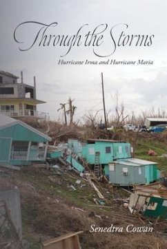 Cover Through the Storms (eBook, ePUB)