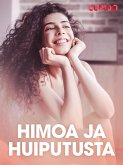 Himoa ja huiputusta - eroottinen novelli (eBook, ePUB)