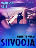 Kielletyt paikat: Siivooja - eroottinen novelli (eBook, ePUB)