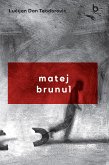 Matej Brunul (eBook, ePUB)
