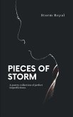 Pieces of storm