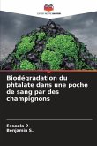 Biodégradation du phtalate dans une poche de sang par des champignons