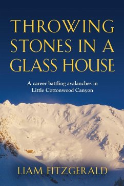 Throwing Stones in a Glass House - Fitzgerald, Liam