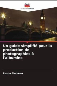 Cover Un guide simplifié pour la production de photographies à l'albumine