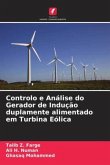 Controlo e Análise do Gerador de Indução duplamente alimentado em Turbina Eólica