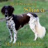 Shiva - Mein Hundeleben - Bild 1