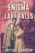 Enigma of Lake Falls - Bild 1