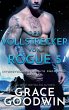 Der Vollstrecker von Rogue 5 - Bild 1