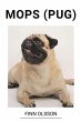Mops (Pug) - Bild 1