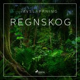 Avslappning - Regnskog (MP3-Download)