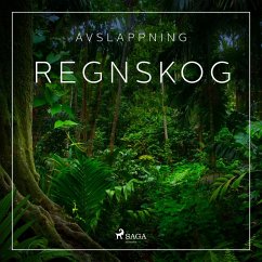 Cover Avslappning - Regnskog (MP3-Download)