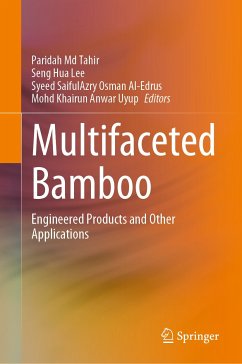 Multifaceted Bamboo (eBook, PDF)