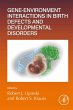 Gene-Environment Interactions in Birth... - Bild 1