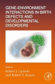 Gene-Environment Interactions in Birth Defects and Developmental Disorders (eBook, ePUB)