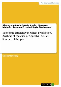 Economic efficiency in wheat production. Analysis of the case of Angecha District, Southern Ethiopia (eBook, PDF)