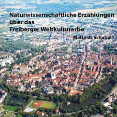 Naturwissenschaftliche Erzählungen über das Freiberger Weltkulturerbe - Schubert, Matthias