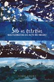 Sob as estrelas (eBook, ePUB)