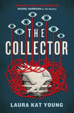 The Collector (eBook, ePUB) - Young, Laura Kat