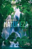 Um átomo da natureza (eBook, ePUB)
