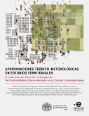 Aproximaciones teórico-metodológicas en estudios territoriales (eBook, ePUB)