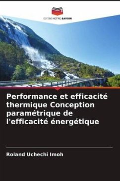 Performance et efficacité thermique Conception paramétrique de l'efficacité énergétique - Imoh, Roland Uchechi