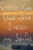 Chronicles of Cosmic Chaos in The Fourth Dimension