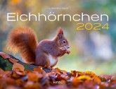 Eichhörnchen Eintragkalender 2024
