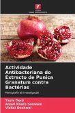 Actividade Antibacteriana do Extracto de Punica Granatum contra Bactérias