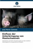 Einfluss der Unterbringung von Mastschweinen