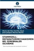 STAMMZELL-REPARATURMECHANISMEN BEI ZEREBRALER ISCHÄMIE